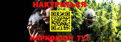 прущие крисы Жуковский