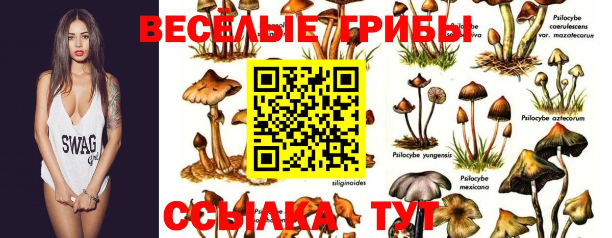 Галлюциногенные грибы мухоморы Кызыл