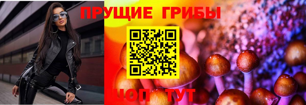 где найти   Вход с VPN  Кызыл  Галлюциногенные грибы прущие грибы 